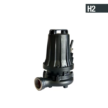 HM 50/2/125 C.500 230V